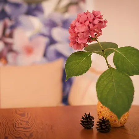 Marwa - Eine Ruheoase Im Grünen