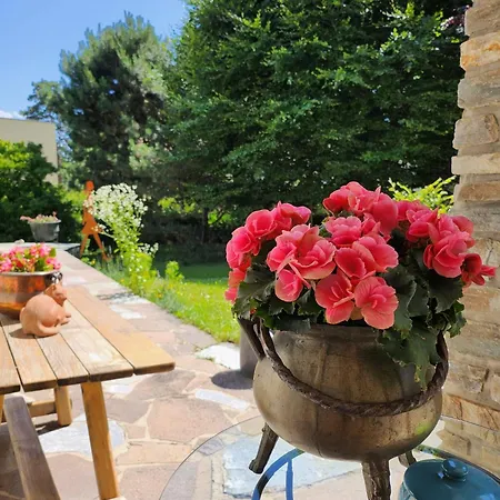 Marwa - Eine Ruheoase Im Gruenen Інсбрук