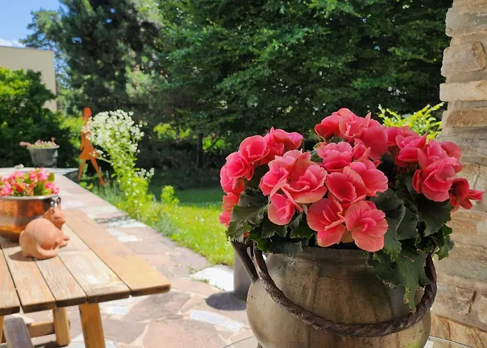 Marwa - Eine Ruheoase Im Gruenen Innsbruck