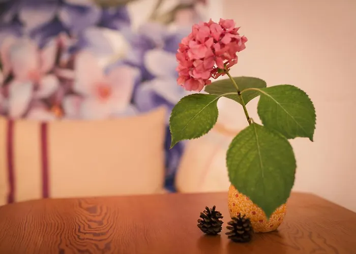 Marwa - Eine Ruheoase Im Gruenen